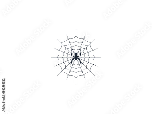 Fragile Spider Web Silhouette Vector