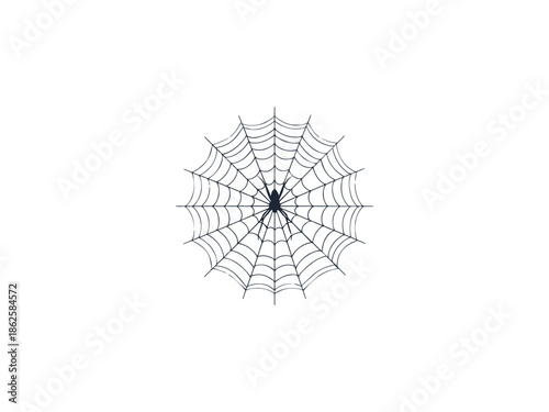 Fragile Spider Web Silhouette Vector