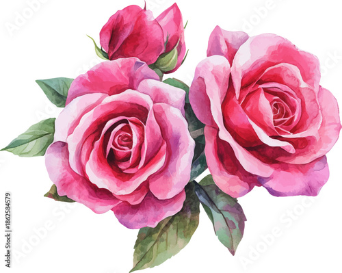 bouquet of pink roses
