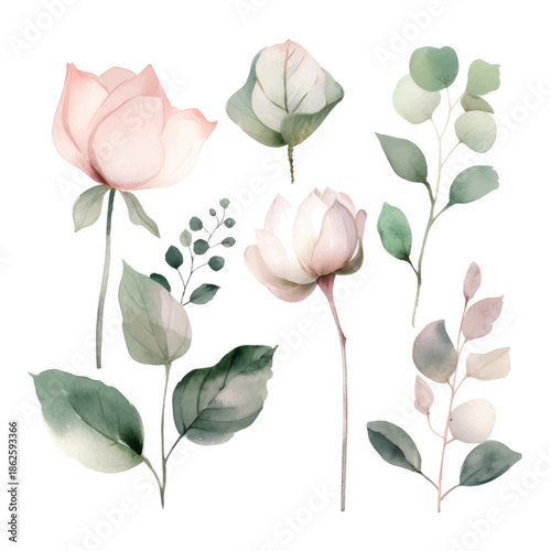 Watercolor Floral Botanical Illustration 12