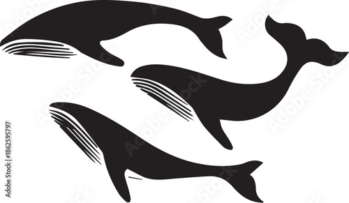 Oceanic Symphony: A collection of elegantly stylized whales, gliding through an unseen aquatic realm, a symphony of streamlined forms suggesting grace and power.