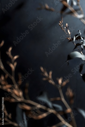 Soft focus blurry dried botanical branches framing dark textured wall with moody lighting