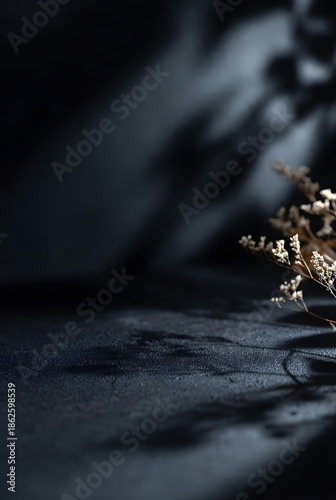 Dramatic low key still life of dry white flowers on dark textured surface with large shadow casting