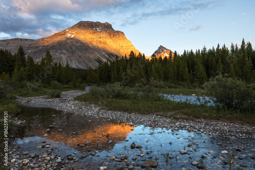 Golden sunset light on Mount Andromache reflected in Mosquito Creek, surrounded by evergreen forest in Banff National Park, Alberta, Canada, during summer in the Canadian Rockies.