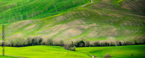 Italy and the spring landscape of Tuscany. Green fields in the sun.