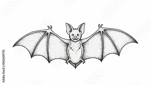 Hand drawn sketch of a bat with wings spread wide.