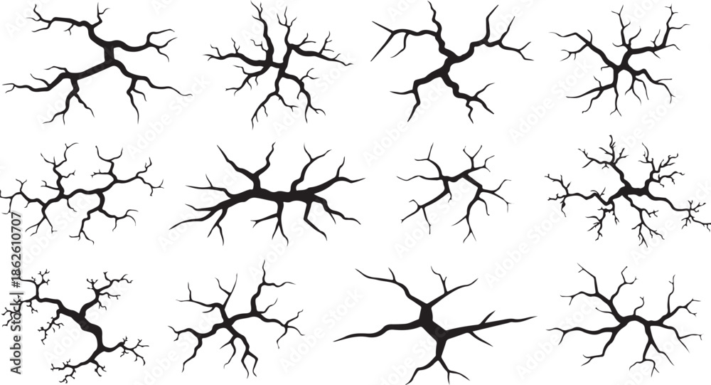 Obraz premium A collection of black tree branch silhouettes on a white background