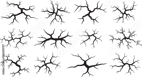 A collection of black tree branch silhouettes on a white background