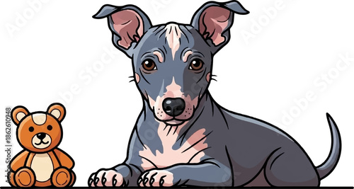 A cute grey puppy with pink markings lies next to a small brown teddy bear against a white background