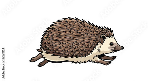 Detailed illustration of a hedgehog from the side walking with quills visible on white