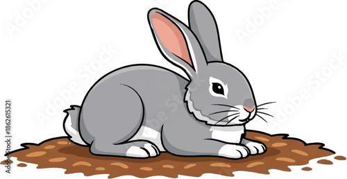 An adorable gray rabbit with pink ears and a white tail rests calmly on a patch of brown dirt
