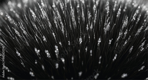 Abstract monochrome texture of vertical organic fibers with light droplets