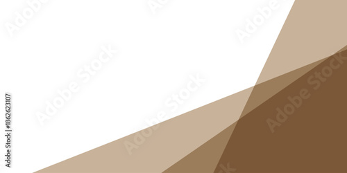 abstract creative ash color triangle shape background.