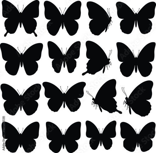 Butterfly Silhouette Set in Multiple Poses Black Minimal Flat Vector Illustration Collection