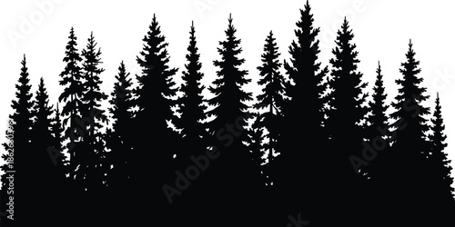 Pine forest silhouette landscape, dense evergreen trees, wilderness nature illustration, black vector background, woodland scenery isolated white background design art