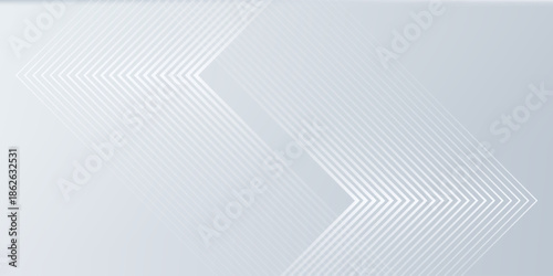 gray and white abstract background modern vector illustration