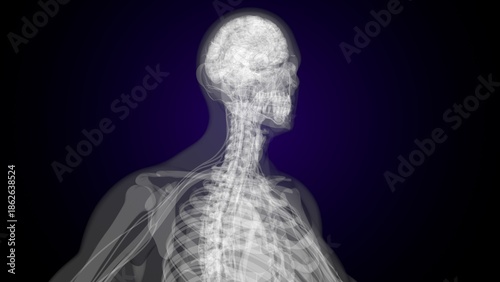 Foto Male X ray anatomy with colourful background. 3d render