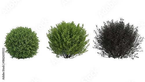 Three different bushes isolated on transparent background