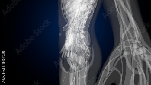 Photos Male X ray anatomy with colourful background. 3d render