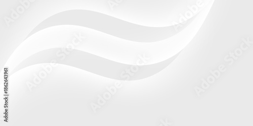 Abstract minimalist white and gray curve modern background. texture white pattern. vector illustration