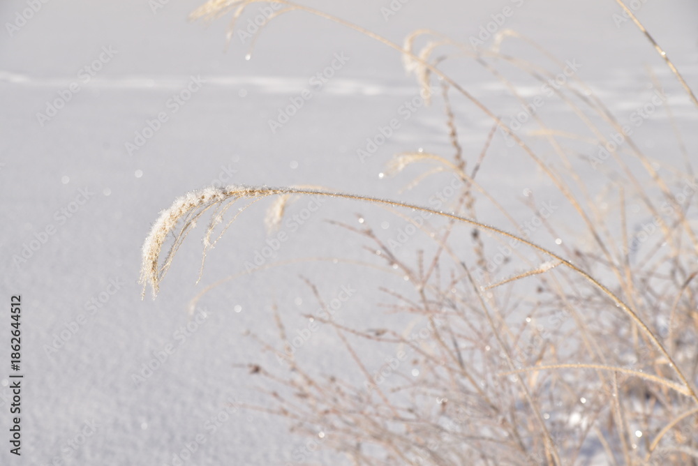 Obraz premium 雪景色