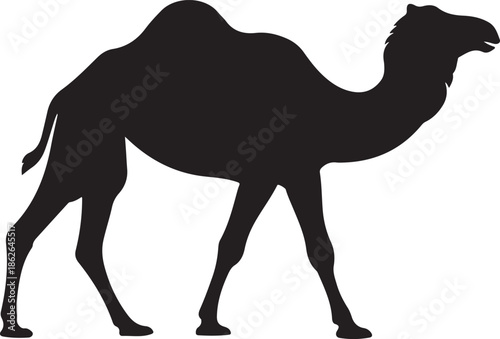 Camel Silhouette – Desert Camel Vector Black on White”
