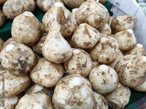Fresh Jicama Root Vegetables Displayed at Market