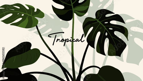 spring、plant、plants、botanical、botany、nature、leaf、leaves、green、black、lineart、outline、handdrawn、sketch、simple、minimal、illustration、drawing、art、design、organic、natural、eco、floral、foliage、garden、modern、cle