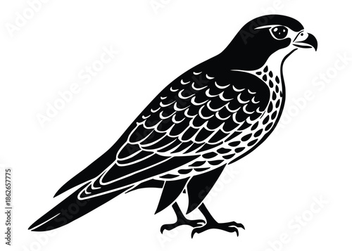 Black and White Falcon Illustration