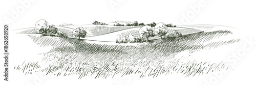 Beautiful hand drawn landscape with rolling hills and trees in sketch style.