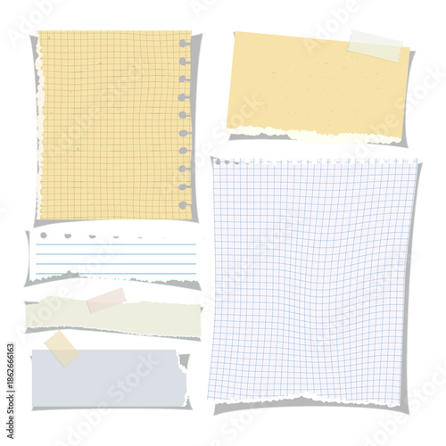 Collection of Torn Paper Pieces with Various Textures and Styles.