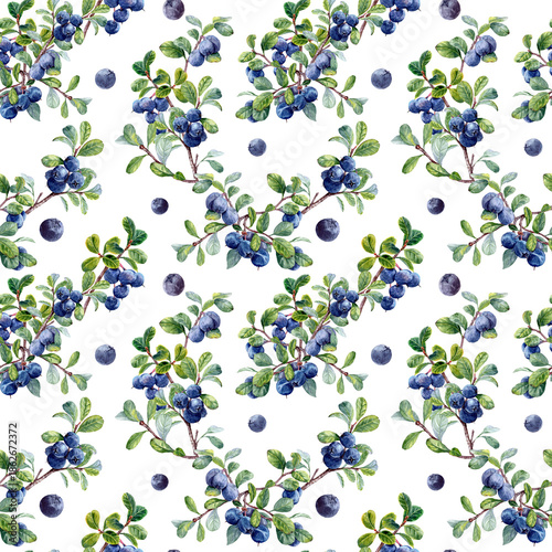 Hand drawn Jointless tiles wirth blueberries on the branches. Looped background for textile