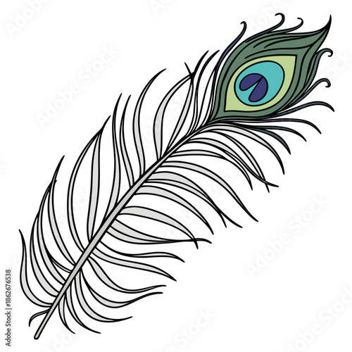 Exotic Peacock Feather Detailed Artwork