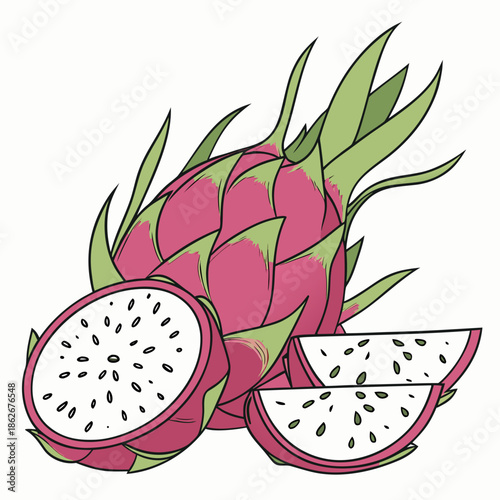 Pitaya Dragon Fruit Vector Still Life