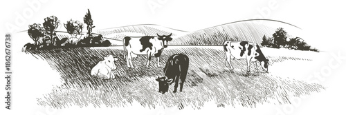 Illustration of cows and calf grazing in a field.