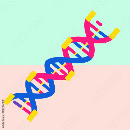 Colorful illustration of a DNA double helix structure.
