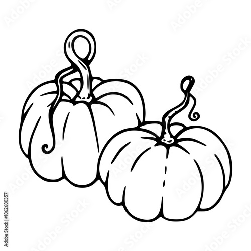 hand drawn pair of pumpkins vector illustration