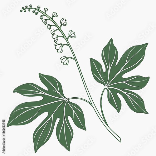 Minimalist Green Leaf Illustration with Soft Tones
