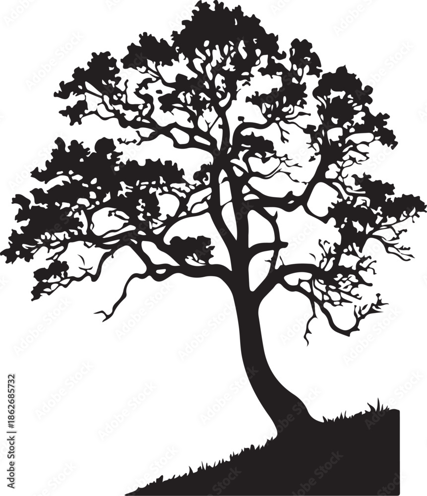 Obraz premium Detailed Black Silhouette of a Sprawling Tree on a Grassy Hill