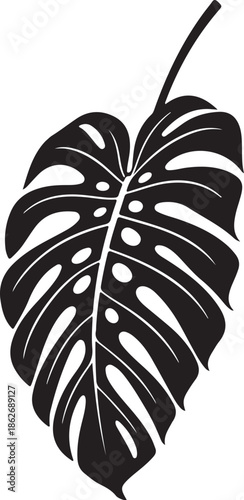 Black Monstera leaf silhouette isolated on white background with shadow.