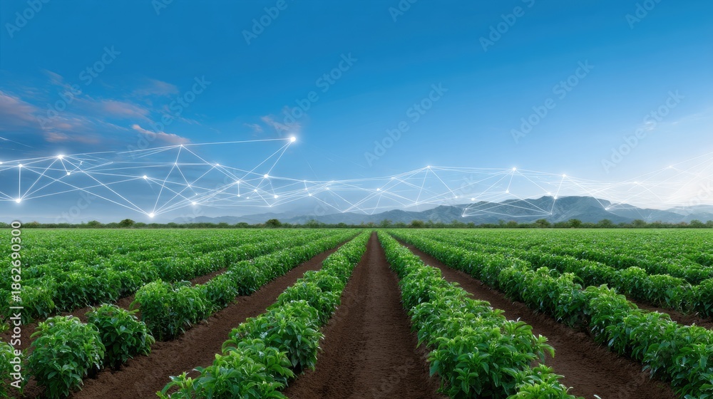 custom made wallpaper toronto digitalExpansive Green Agricultural Field Under Clear Sky with Digital Connectivity Symbols Representing Future Farming Technology and Sustainability Practices