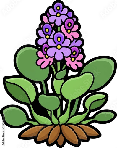 Colorful illustration of a blooming aquatic plant with purple and pink flowers, green leaves, and roots