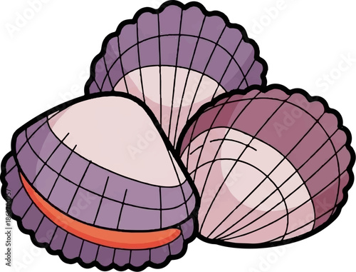 Illustration of three stylized purple and pink seashells, two closed and one slightly open showing an orange interior