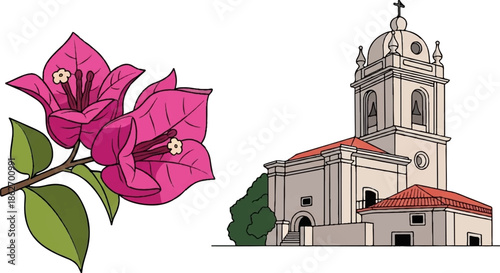 Illustration of vibrant pink bougainvillea flowers on a branch next to a historic church with a bell tower