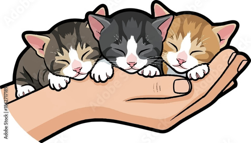 Three adorable, small, sleeping kittens of various colors gently nestled in the palm of a human hand
