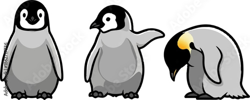 Three illustrated penguin chicks in different poses on a white background, featuring black, white, and gray