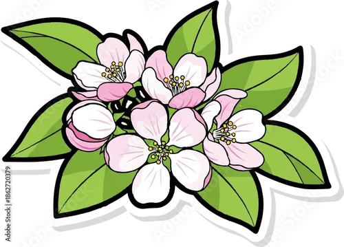 Vibrant illustration of a cluster of pink and white blossoms with green leaves, outlined in black with a subtle shadow effect