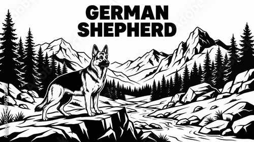 German Shepherd stands alert in a rugged mountain landscape, vector in black and white to emphasize strength, loyalty, texture, and dramatic natural contrast