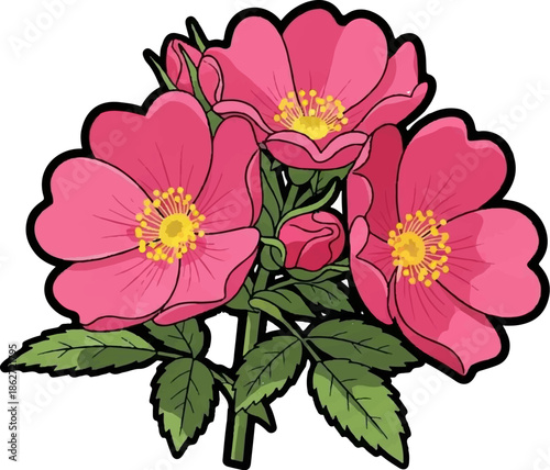 Vibrant pink wild rose flowers with yellow centers, green leaves, and buds, outlined in black, on white