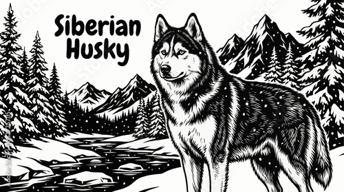 Siberian Husky moves through a snowy wilderness scene, black and white tones highlighting endurance, thick fur texture, and the harsh beauty of cold environments
